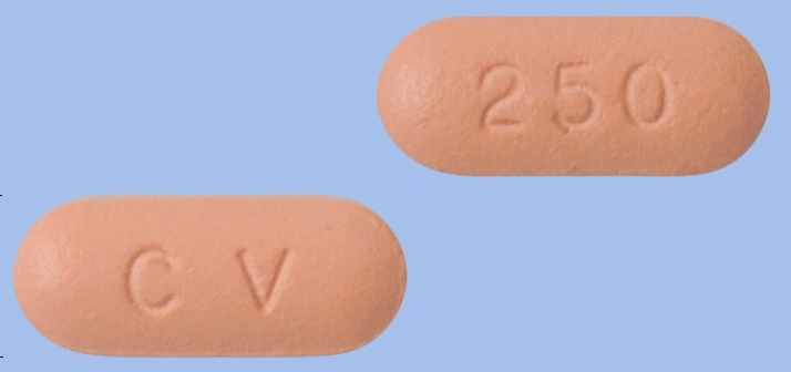 크라비트정250mg 약