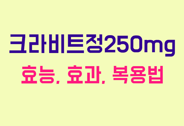 크라비트정250mg