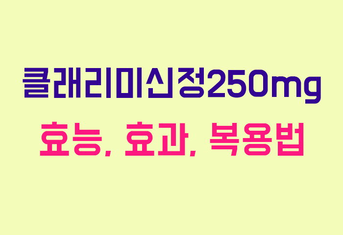 클래리미신정250mg