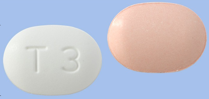 텔미트렌플러스정40/12.5mg 약