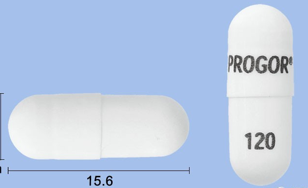 푸로골서방캡슐120mg 약
