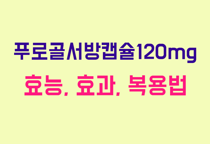 푸로골서방캡슐120mg