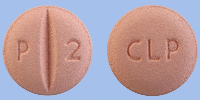 피타로틴정2mg 약
