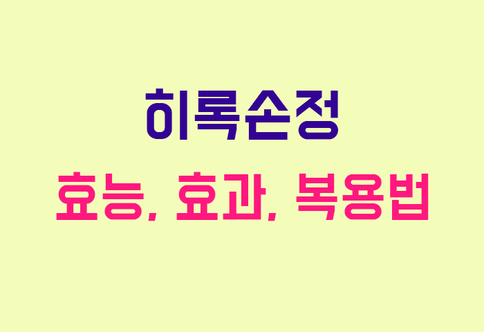 히록손정