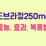 도브라정250mg