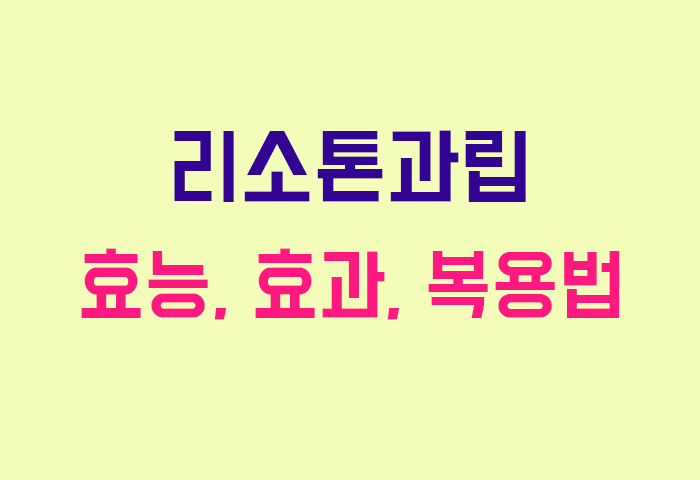 리소톤과립