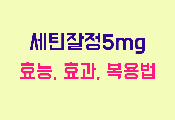 세틴잘정5mg