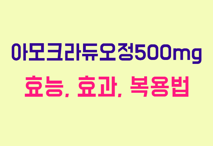 아모크라듀오정500mg