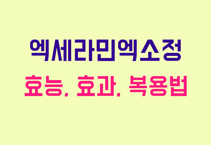 엑세라민엑소정
