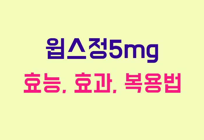 윕스정5mg