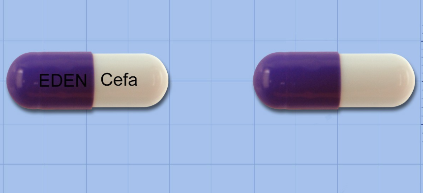 이든세파클러캡슐 약