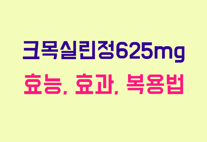 크목실린정625mg