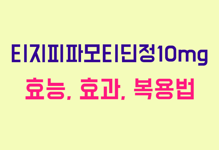 티지피파모티딘정10mg