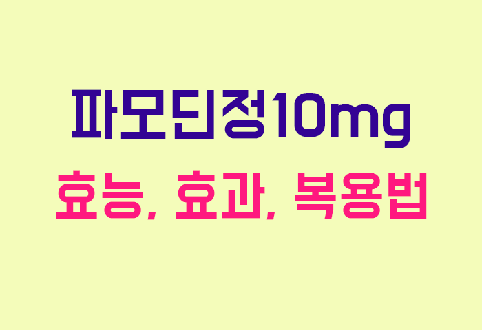 파모딘정10mg