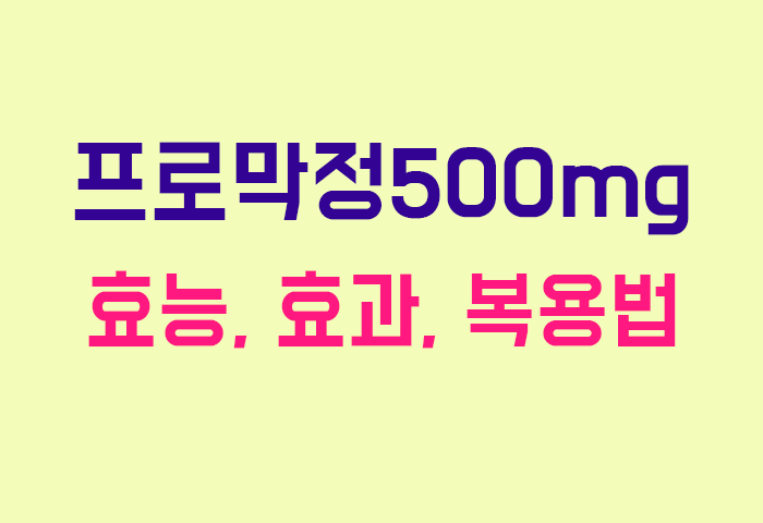 프로막정500mg