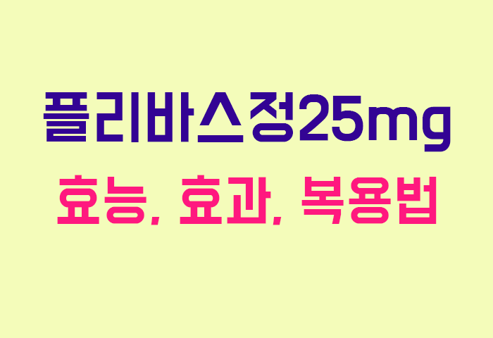 플리바스정25mg