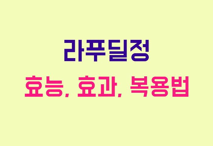 라푸딜정