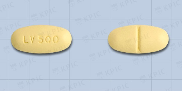 레비라정500mg 약