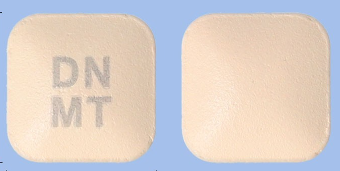 몬테스트정10mg 약