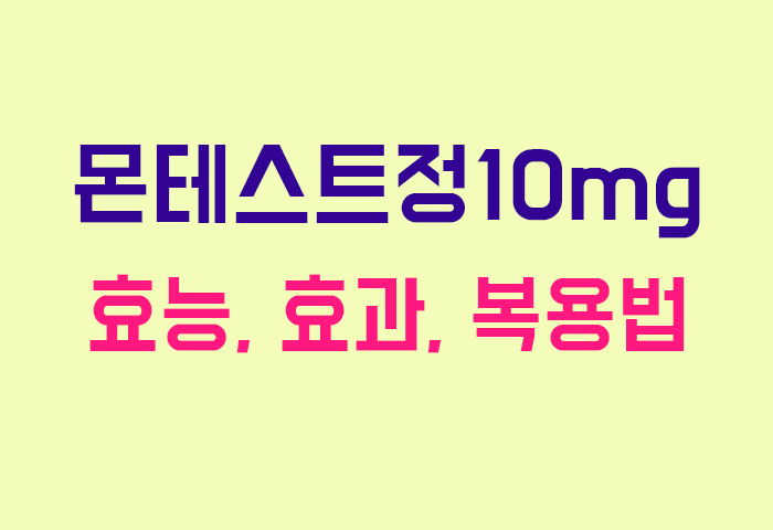 몬테스트정10mg