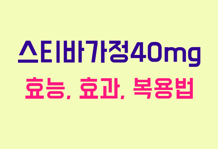 스티바가정40mg