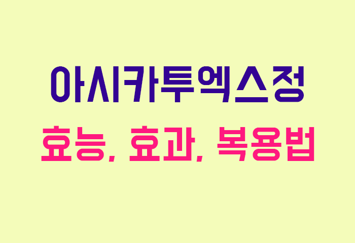 아시카투엑스정