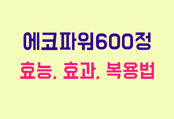 에코파워600정