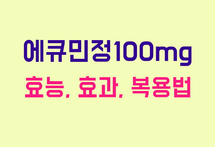 에큐민정100mg