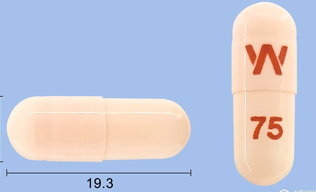 이팩사엑스알서방캡슐75mg 약