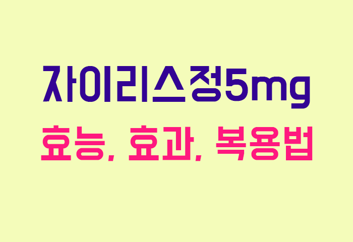자이리스정5mg