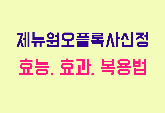 제뉴원오플록사신정