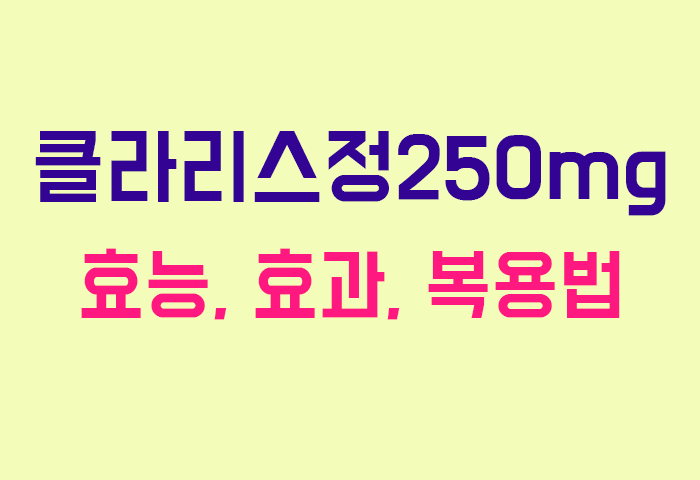 클라리스정250mg