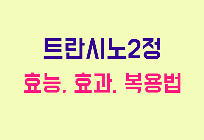 트란시노2정