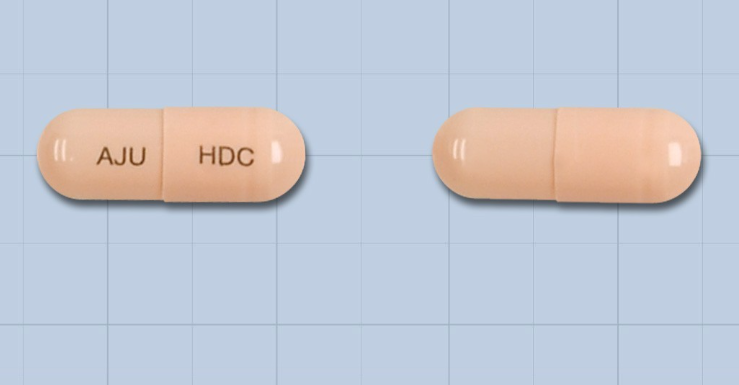 하이디놀캡슐100mg 약