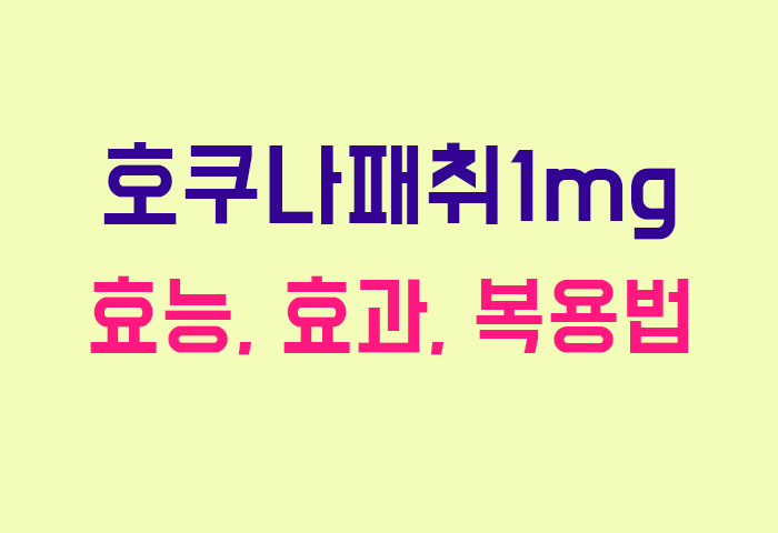 호쿠나패취1mg