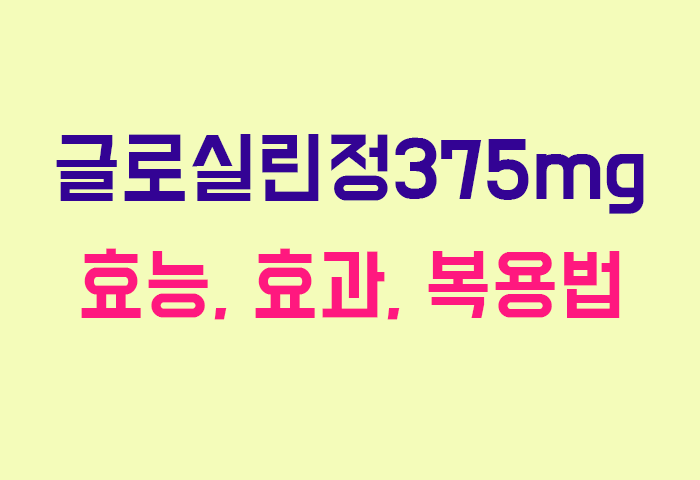 글로실린정375mg