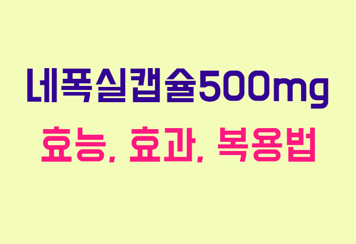 네폭실캡슐500mg