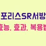 에포리스SR서방정