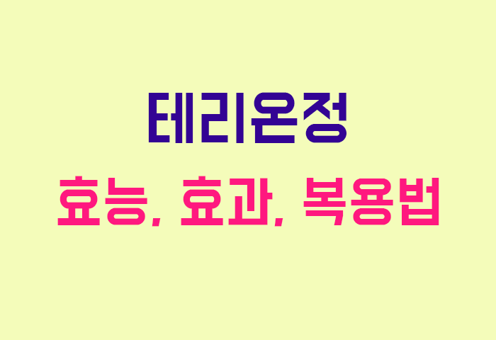테리온정