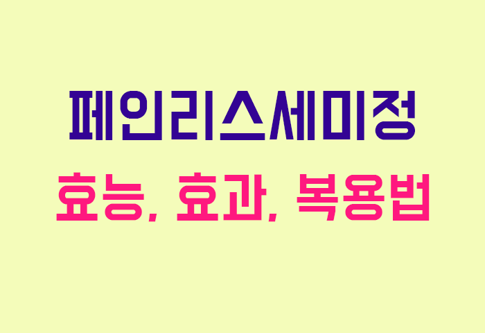 페인리스세미정